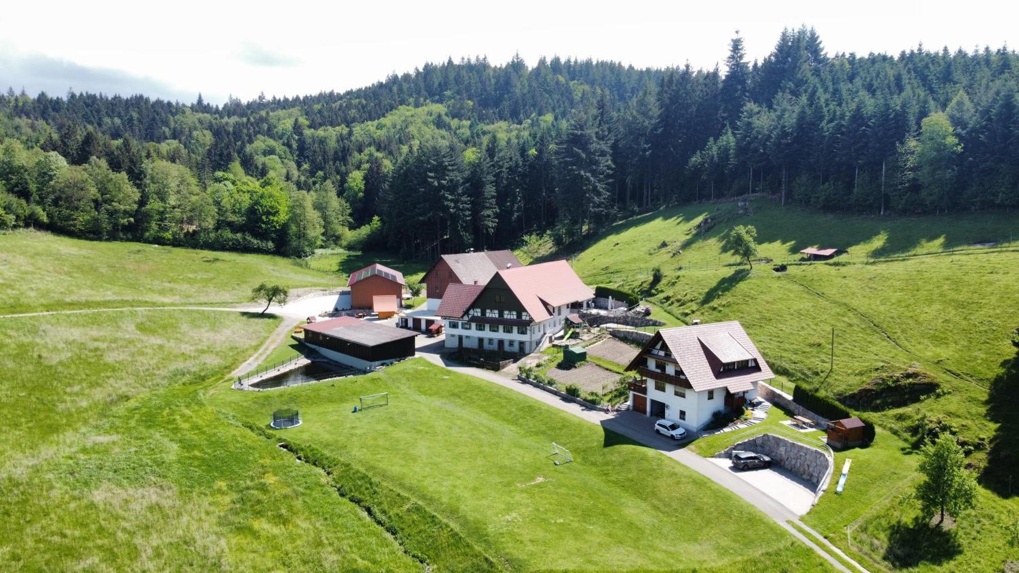Ferienhof Benz Kappelrodeck Exteriér fotografie